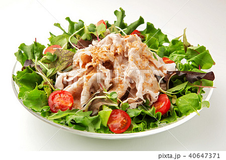 ゴマだれの冷しゃぶ 40647371