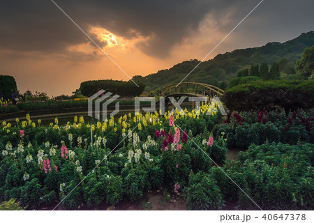 Sunset on the Doi Inthanon National Park Sunset on the Doi Inthanon National Park 40647378