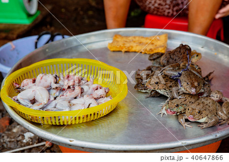 You can buy your frogs skinned or live here You can buy your frogs skinned or live here 40647866