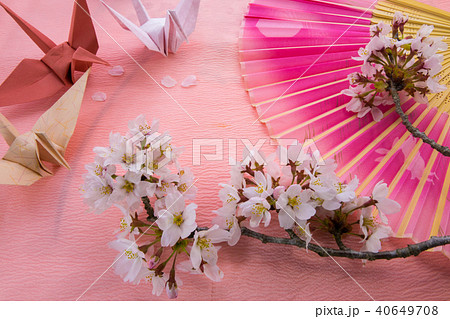扇子と折り鶴と桜 40649708