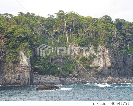 世界ジオパークに指定された伊豆半島・城ケ崎 40649757