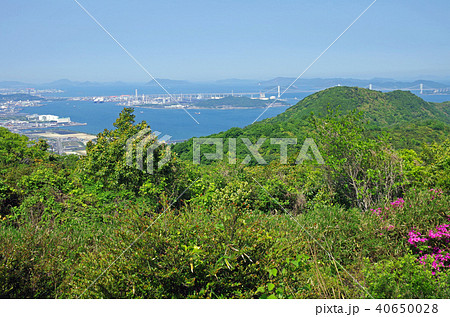 新緑の五色台から瀬戸の景色 新緑の五色台から瀬戸の景色 40650028