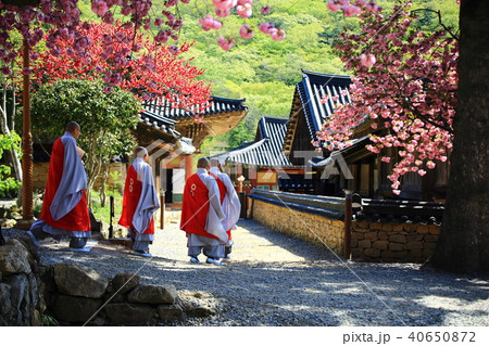 仙岩寺 寺院 僧侶 40650872