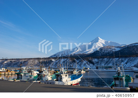 鴛泊港に停泊する漁船と利尻山の風景 40650957