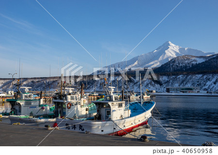 鴛泊港に停泊する漁船と利尻山の風景 40650958