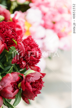 Lovely flowers in glass vase. Beautiful bouquet of red peonies . Floral composition, scene, daylight Lovely flowers in glass vase. Beautiful bouquet of red peonies . Floral composition, scene, daylight 40651552