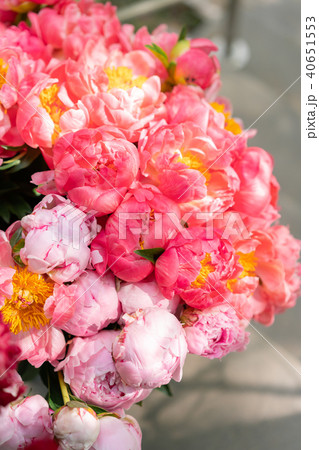 Lovely flowers in glass vase. Beautiful bouquet of peonies sort of coral charm. Floral composition Lovely flowers in glass vase. Beautiful bouquet of peonies sort of coral charm. Floral composition 40651553