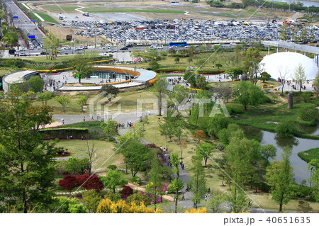 一本道 小道 花畑 40651635