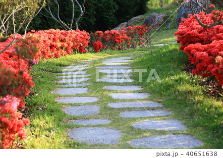 順天市 風景 花畑 40651638