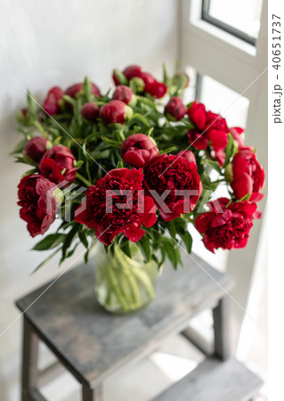 Lovely flowers in glass vase. Beautiful bouquet of red peonies . Floral composition, scene, daylight 40651737