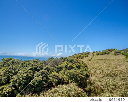 西伊豆スカイライン沿いの風景 40651950