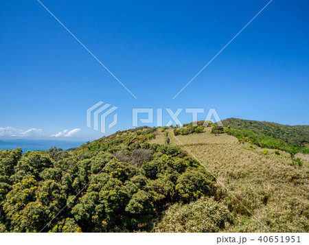 西伊豆スカイライン沿いの風景 西伊豆スカイライン沿いの風景 40651951
