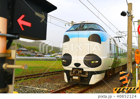 パンダくろしお号JR287 Panda face Express Train Kuroshio 90 パンダくろしお号JR287 Panda face Express Train Kuroshio 90 40652124