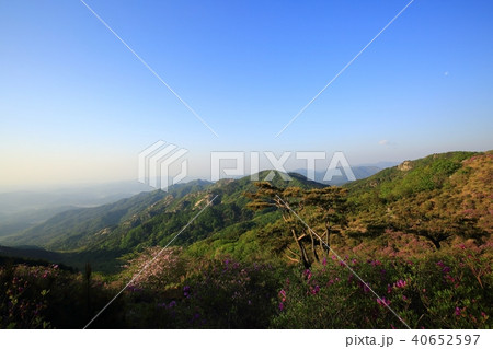 山 風景 木 40652597