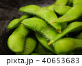 枝豆 40653683