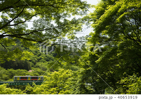 水郡線01 40653919