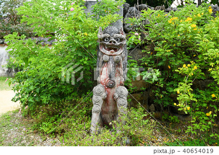 こま犬 ライオン 獅子 40654019