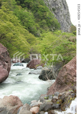 渓谷（ヒスイ峡） 40654503