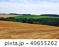 北海道 美瑛の丘 40655262