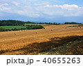 北海道 美瑛の丘 40655263