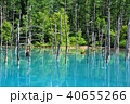 北海道美瑛町 青い池 40655266