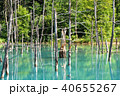 北海道美瑛町 青い池 40655267