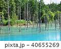 北海道美瑛町 青い池 40655269