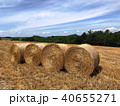 北海道 美瑛の丘 牧草ロール 40655271