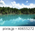 北海道美瑛町 青い池 40655272