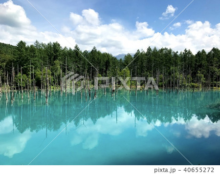 北海道美瑛町 青い池 北海道美瑛町 青い池 40655272