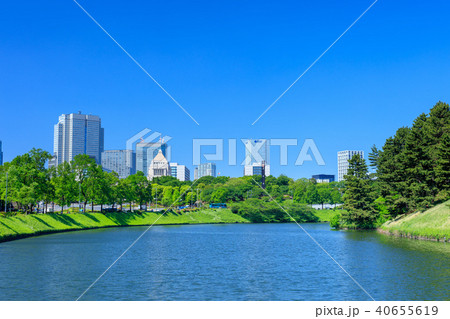 東京　桜田濠の風景（桜田門前より国会議事堂方面） 40655619