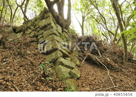 八幡山城 40655656