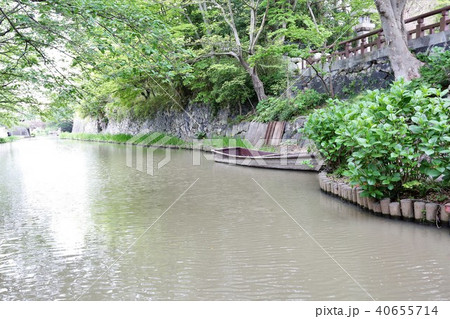 八幡山城 40655714