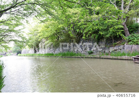 八幡山城 40655716