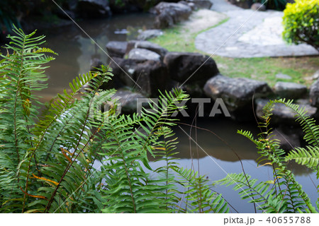 背景 バックグラウンド バックグランド 40655788