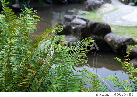 背景 バックグラウンド バックグランド 40655789