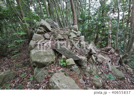 観音寺城 観音寺城 40655837