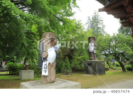 茂林寺のたぬき 茂林寺のたぬき 40657474