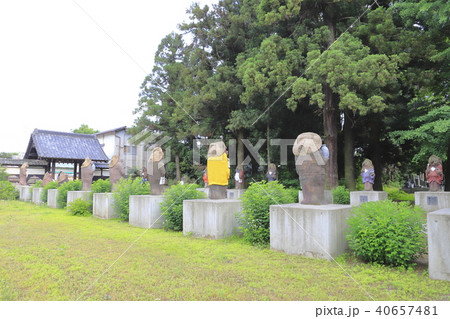 茂林寺のたぬき 茂林寺のたぬき 40657481