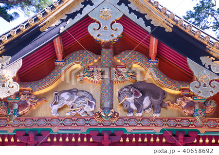 日光東照宮　上神庫　想像の象 40658692