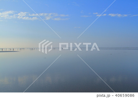高美湿地 高美湿地 40659086