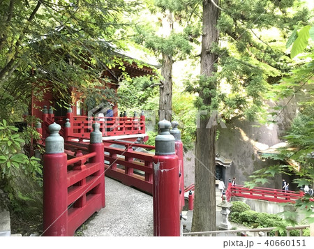 森と神社 森と神社 40660151