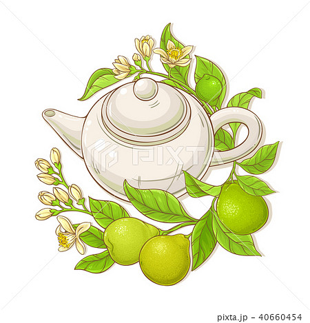 Bergamot Tea Vector Illustrationのイラスト素材