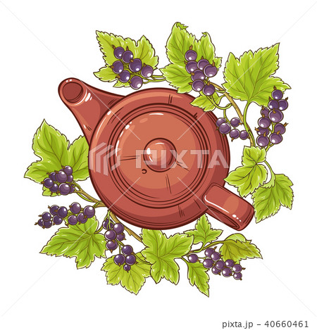 black currant tea illustration 40660461
