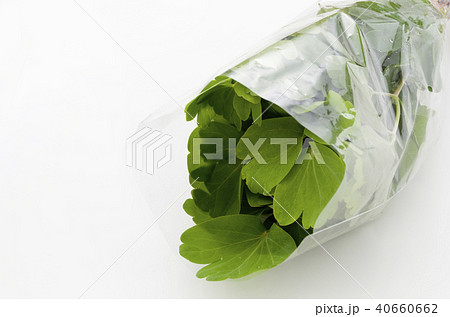 長命草（ボタンボウフウ）袋入り 40660662