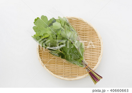 長命草（ボタンボウフウ）袋入り 40660663