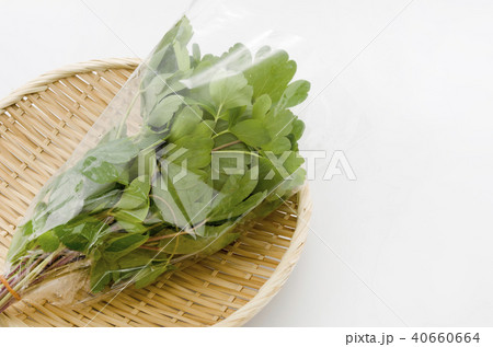 長命草（ボタンボウフウ）袋入り 40660664