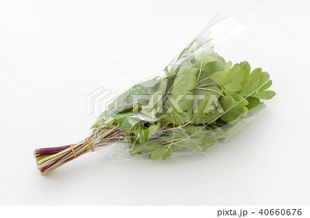 長命草(ボタンボウフウ)袋入り 長命草(ボタンボウフウ)袋入り 40660676