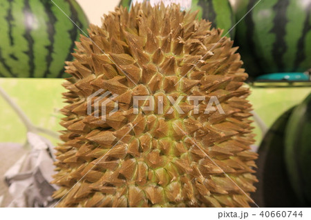 ドリアン 40660744