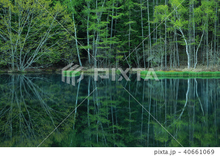 御射鹿池 40661069